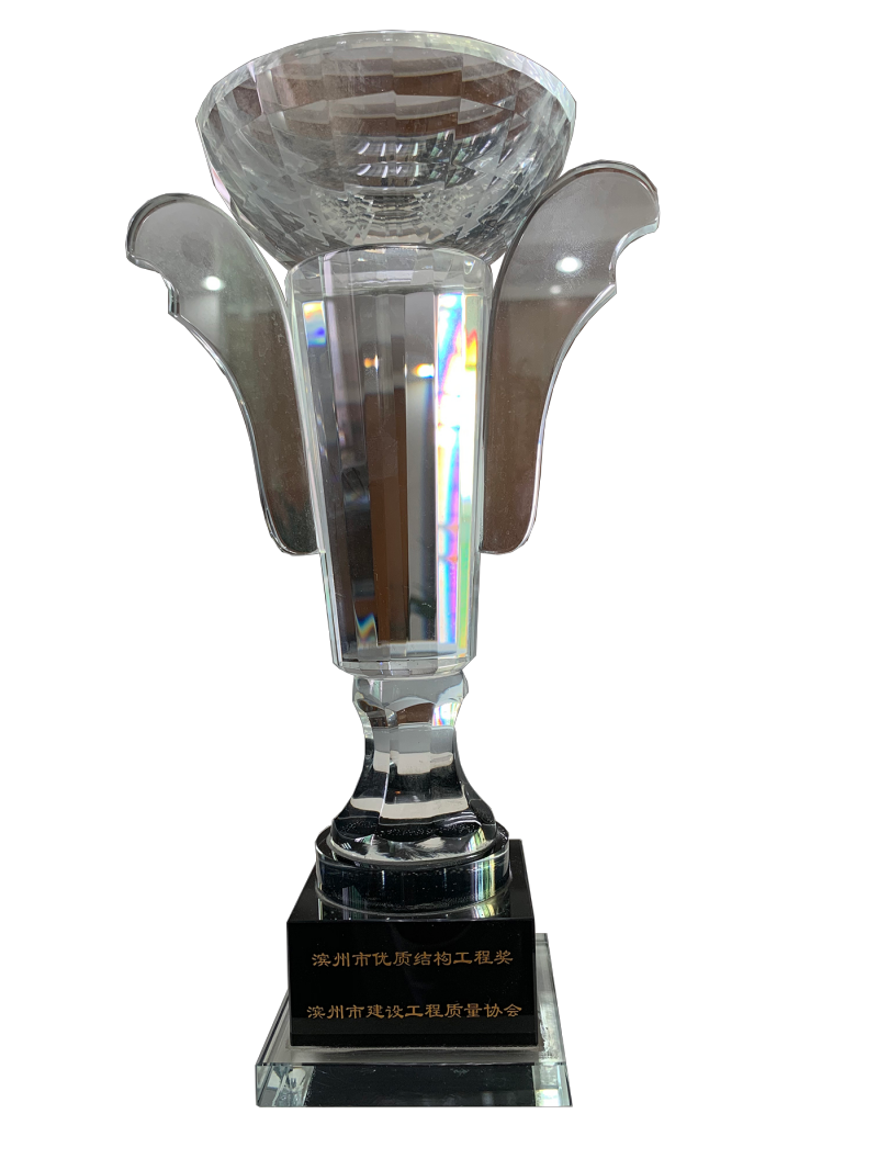 滨江市优秀工程企业奖